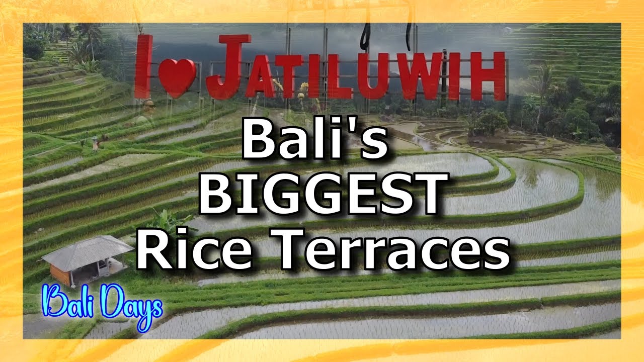 Bali's BIGGEST Rice Terraces at JATILUWIH