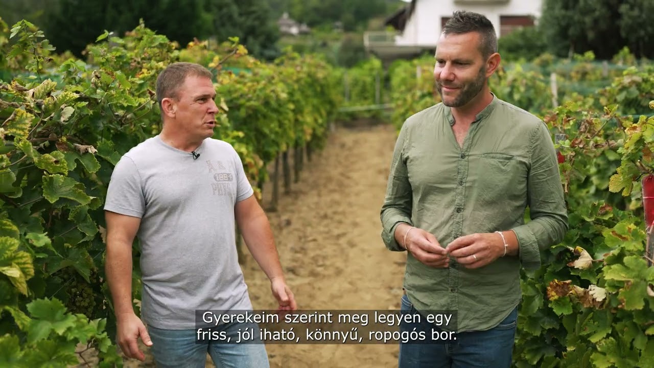 Szalai Attila - Németh Pince - Badacsony