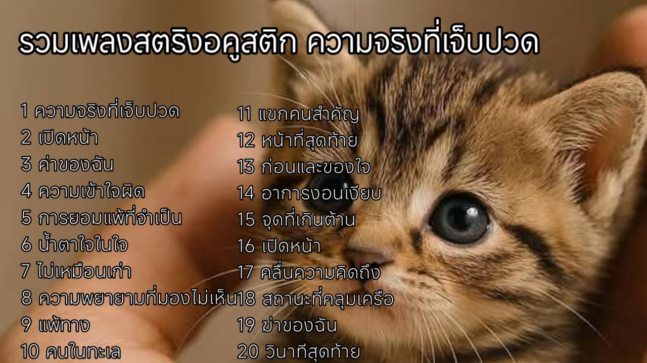 รวมเพลงสตริงฟังสบาย  รอยร้าวครั้งแรก  #ฟังเพลง😉😉😉