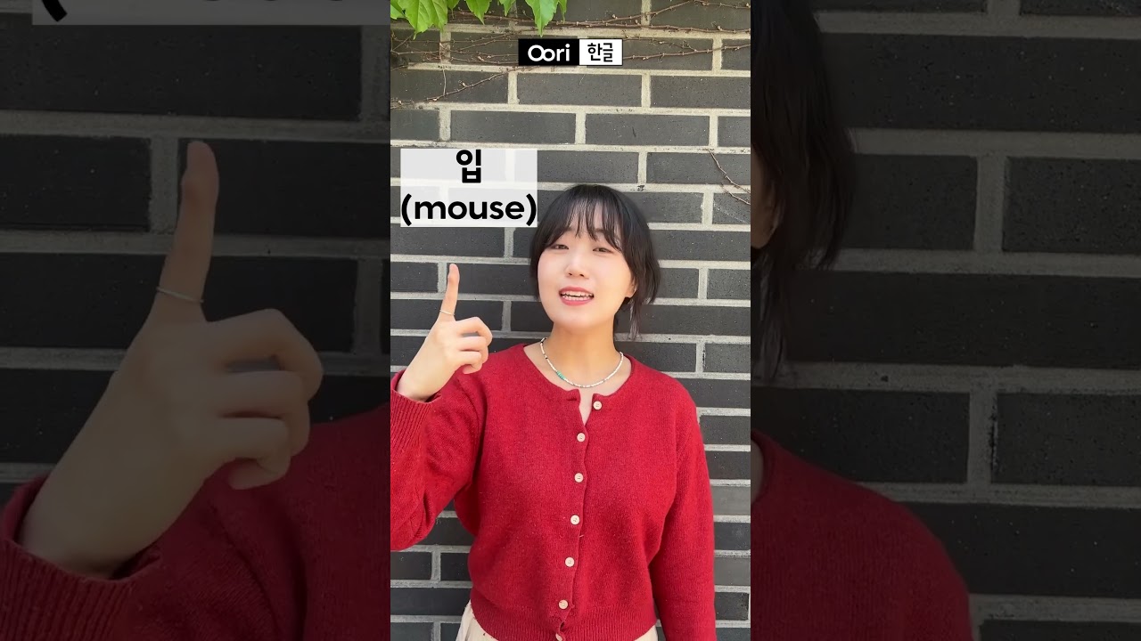 Korean Words Challenge! #shorts #newjeans #koreanwords #koreanlanguage #koreanpractice