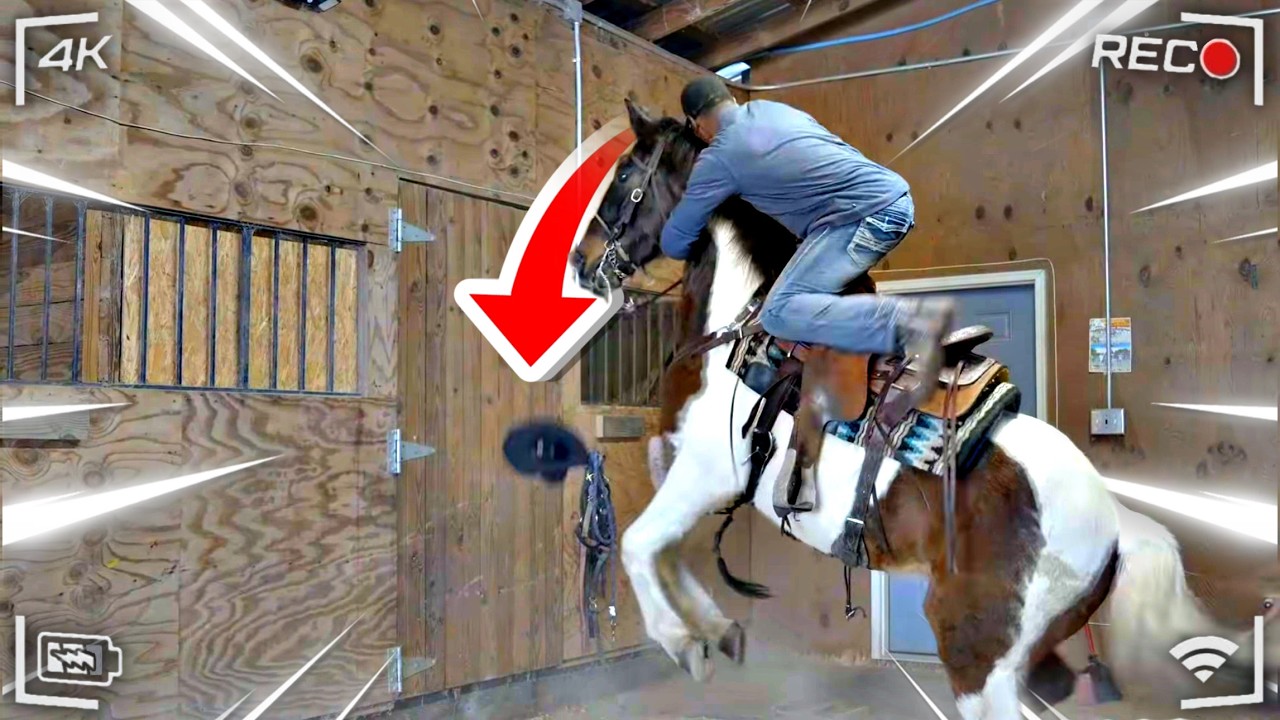 Roscoe Bucked Me Off 😳 | Day 10 Breaking My New Horse Roscoe 