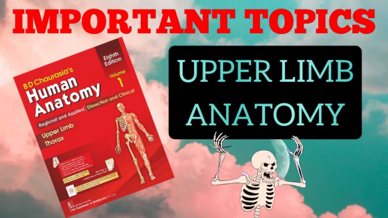Important Topics | Upper Limb | Anatomy