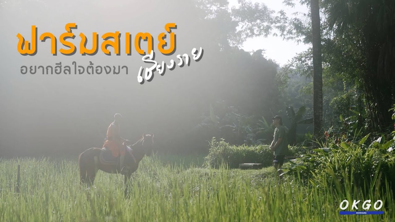 OKGO EP.12 | ลองเป็นชาวนาที่อาสา ฟาร์มสเตย์ จ.เชียงราย