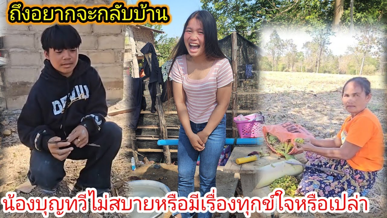 ด่วนๆ. น้องบุญทวีอยากจะกลับบ้านแล้วเกิดอะไรขึ้น #น้องน้อยบอกว่าพ่อแม่เป็นไข้หมดบ้าน.11/20/2026