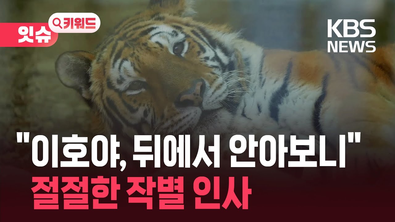 “뒤에서 안아보니 아직 온기가”…‘이호’에게 건넨 작별 인사 [잇슈 키워드] / KBS  2026.01.27.