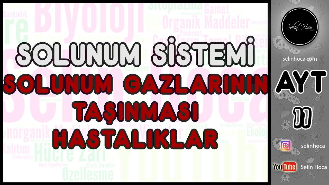 26) Solunum Sistemi - Solunum Gazlarının Taşınması - Hastalıklar