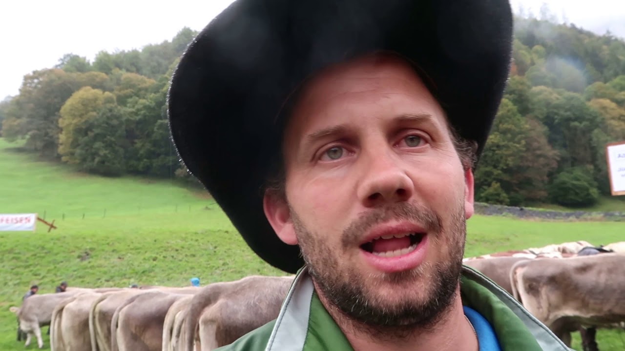 Viehschau Weisstannen 2019