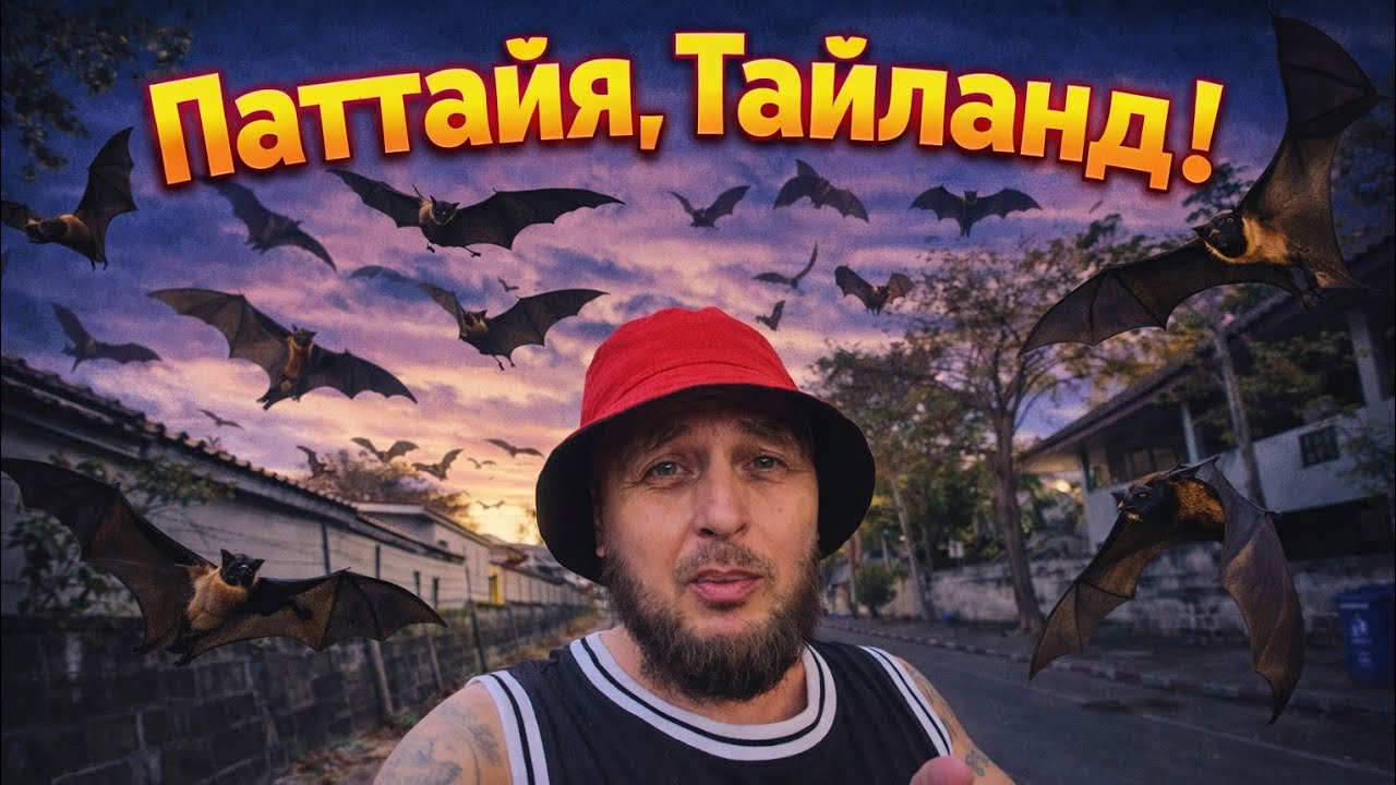 Улица летучих мышей! Здесь должен побывать каждый! Паттайя, Таиланд.