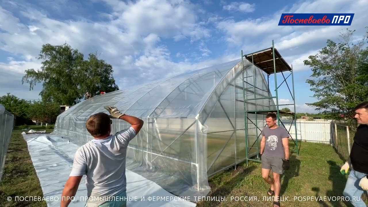 Покрываем плёнкой каркас промышленной теплицы Поспеваево ПРО - Супермодуль 8М