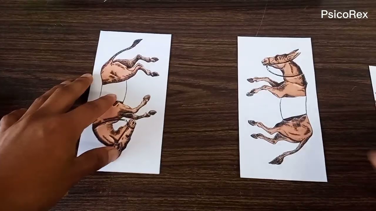 Acertijo visual de los caballos y los jinetes RESUELTO 🐴🤓 | PsicoRex