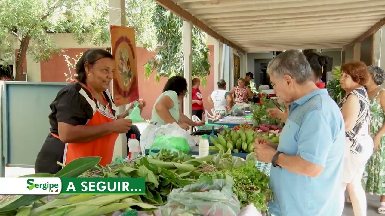 SERGIPE RURAL - PROGRAMA 26 - 2ª temporada