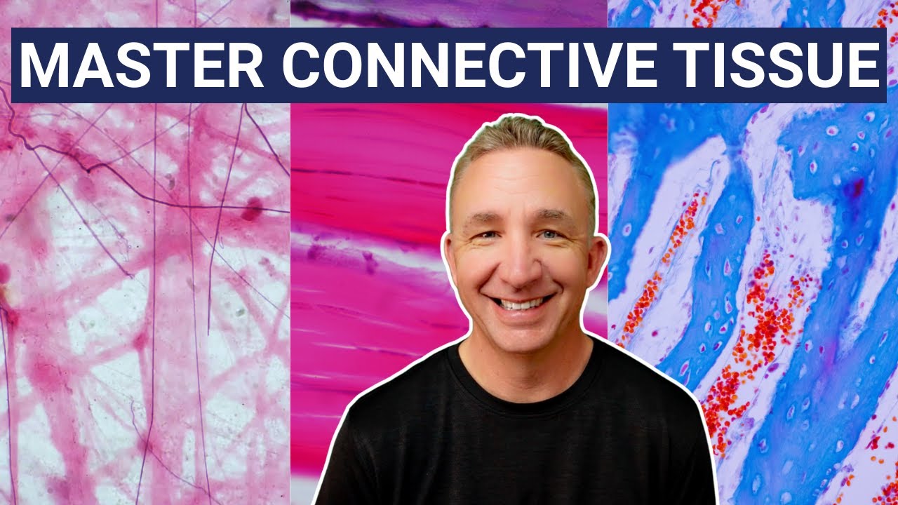 Connective Tissue: Cells, Matrix & Histology (FULL LECTURE)