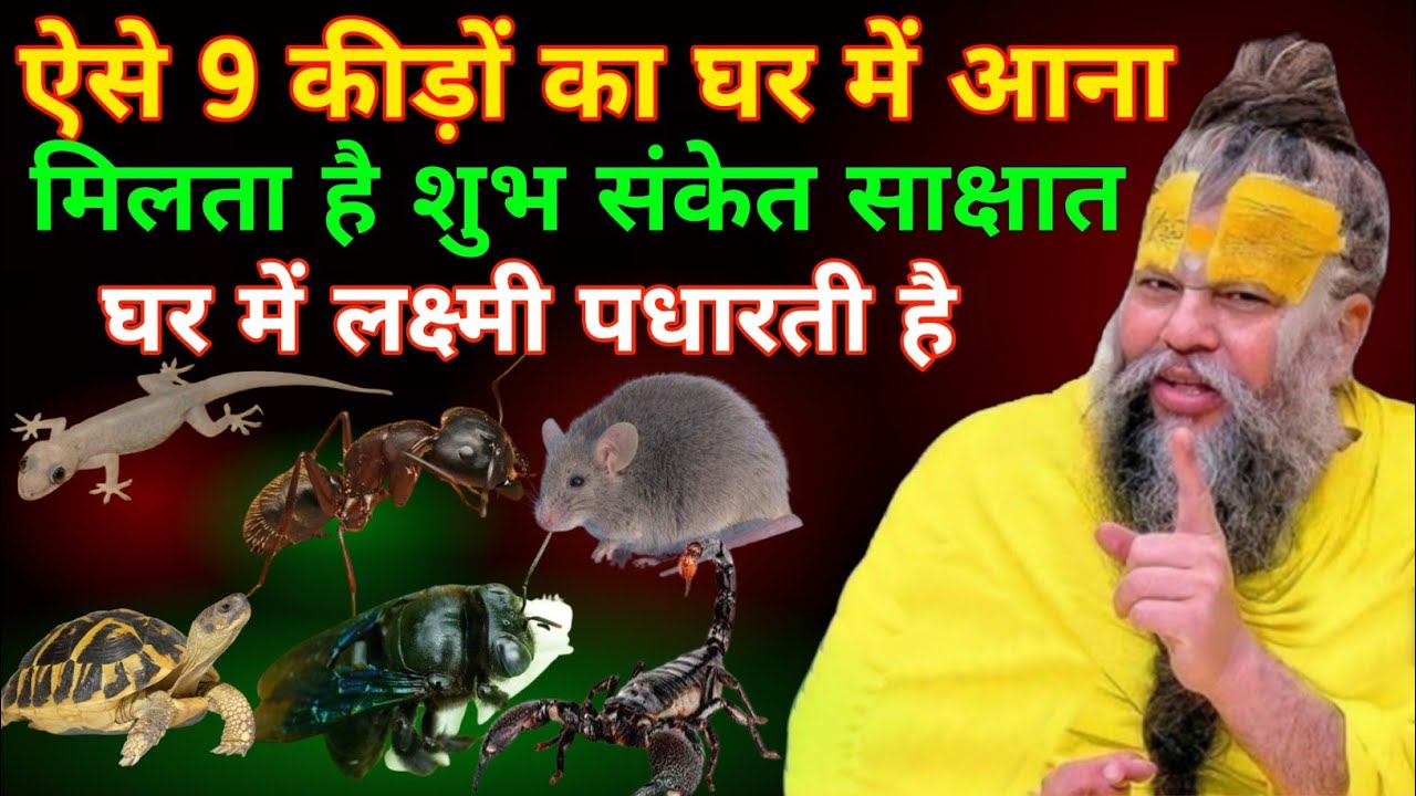 घर में इन 9 कीड़ों का आना देता है आपको अमीरी के शुभ संकेत || Premanand Ji Maharaj