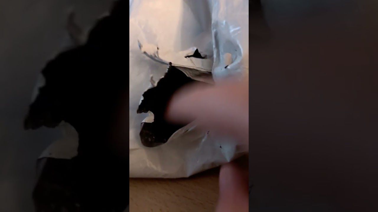 Vorsicht Loch Ness Monster in der Tüte 😶‍🌫️