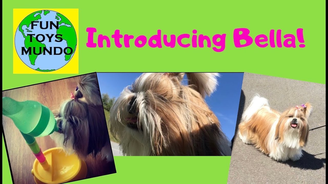 Fun Toys Mundo Introducing Bella the Shih Tzu