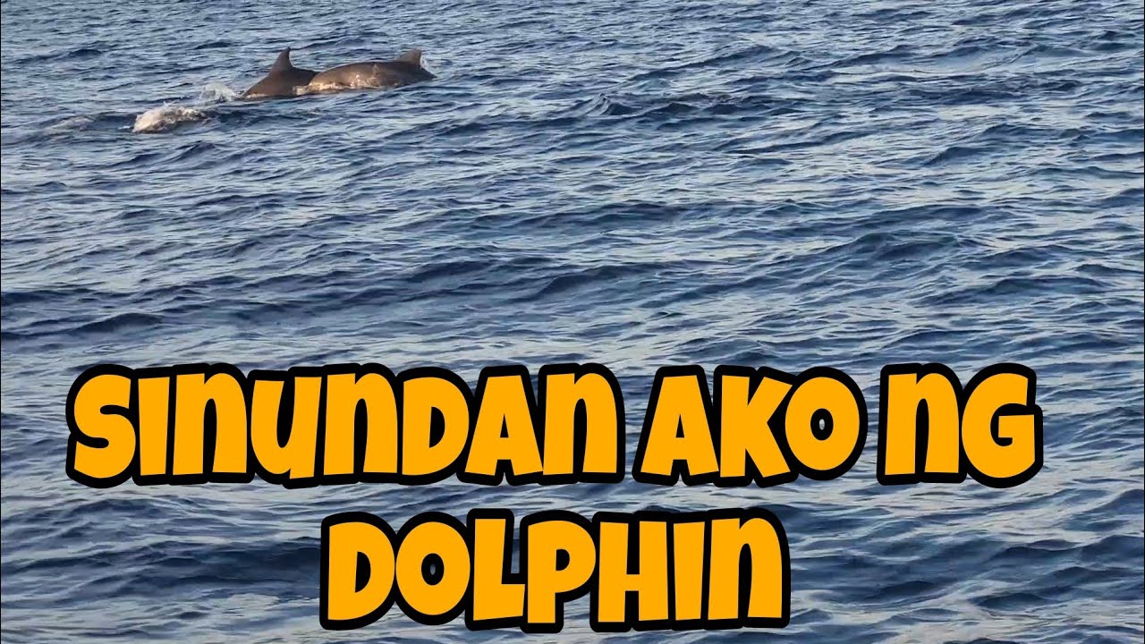 binalikan ko ang bahurang malapad@JaperSniperOfficial @kuyadagulofficial5761