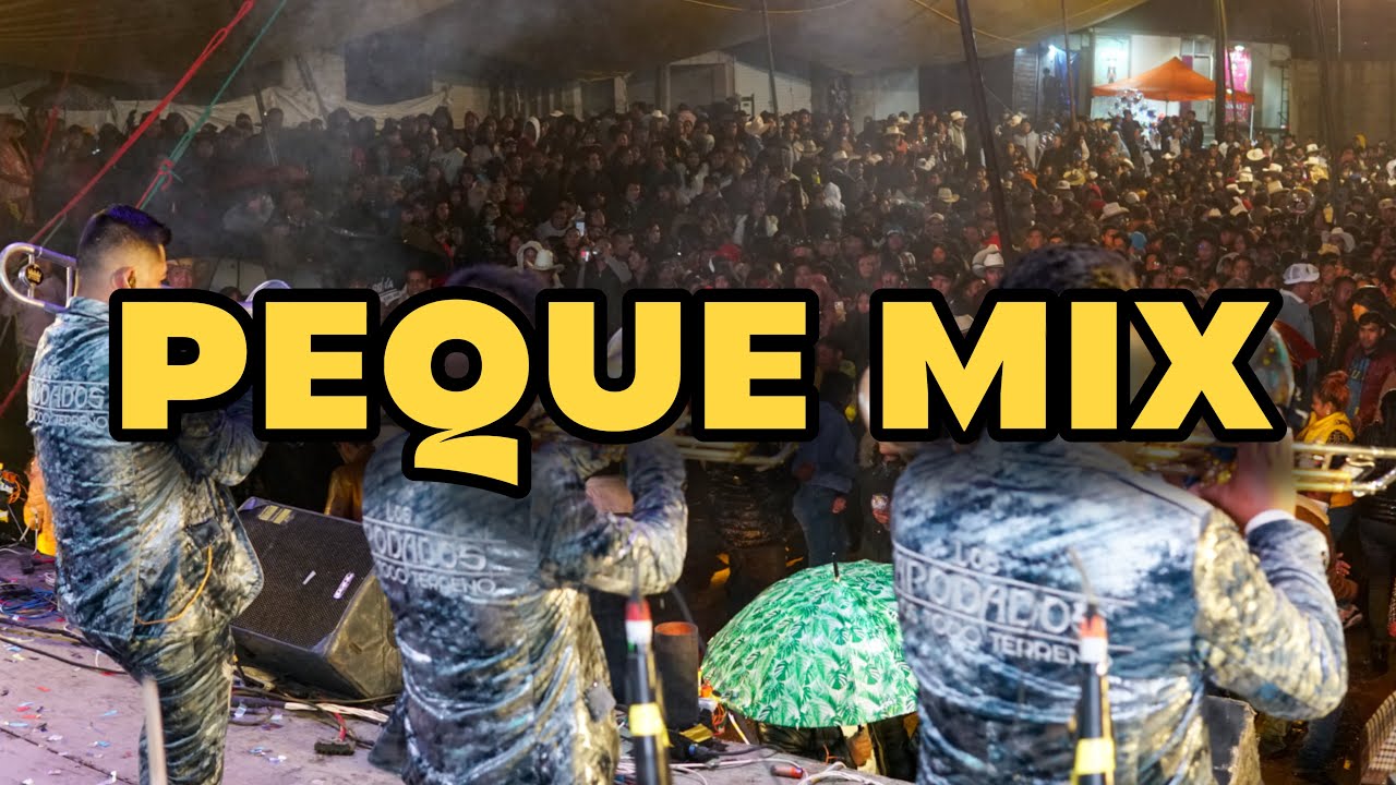 Los Apodados - PequeMix (En Vivo) Voy A Danzar/Regresando/Ni&ntilde;a linda.