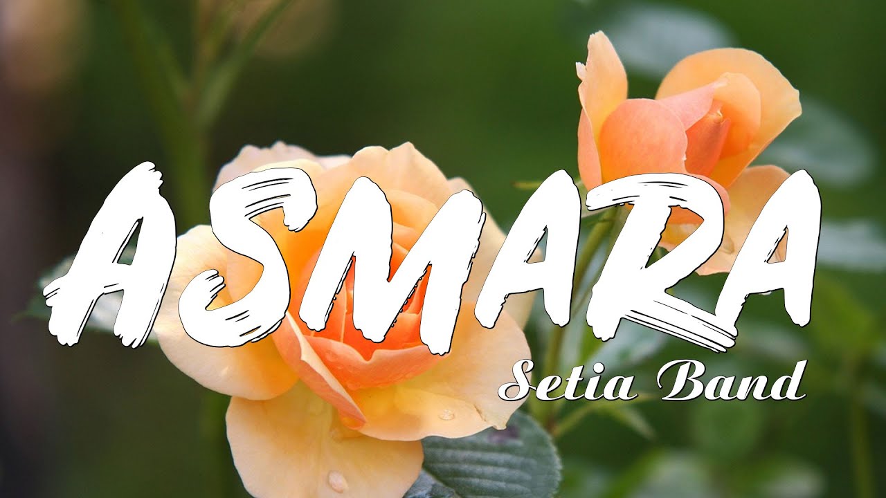 ASMARA | SETIA BAND | lirik video