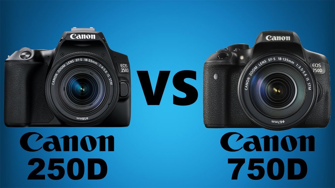 Canon SL3/EOS 250D vs Canon T6i/EOS 750D