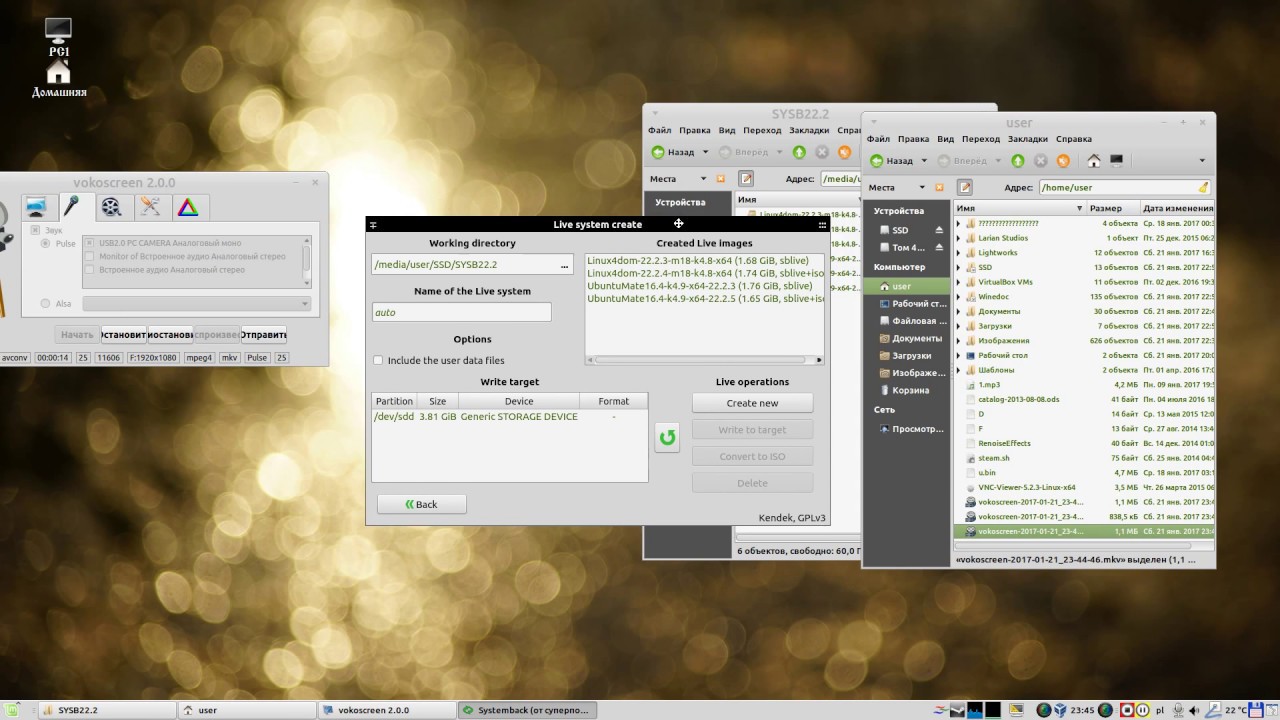 Несколько программ для записи на флешки на Linux и Windows