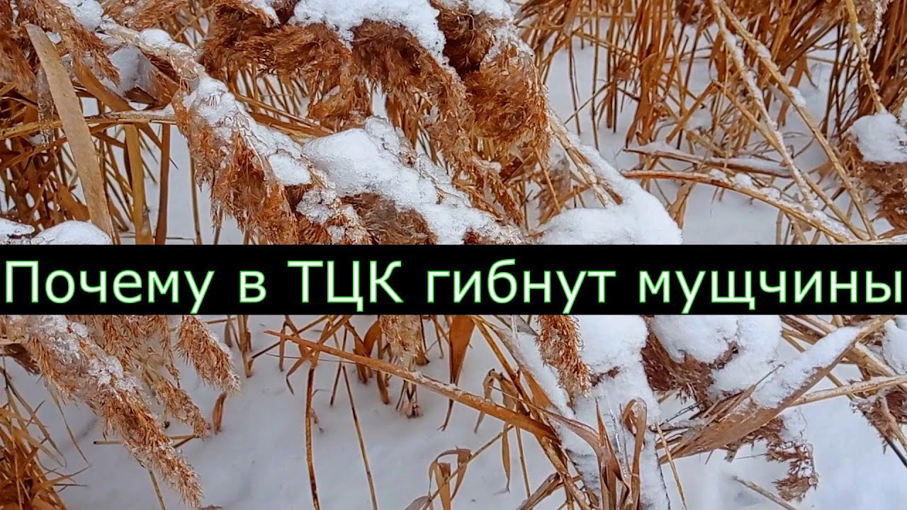 Почему в ТЦК часто гибнут мужчины