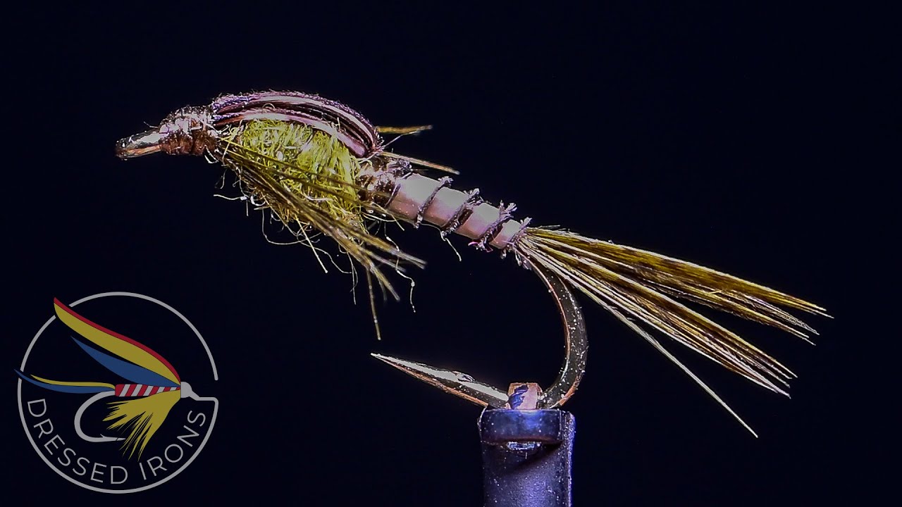 Tying the Biot BWO Nymph - Dressed Irons