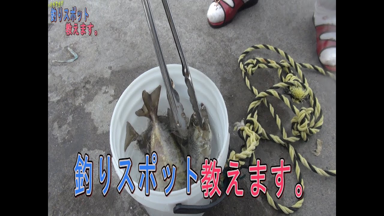 釣りポイント教えます！【沖縄　うるま市東屋慶名　ＨＹ】