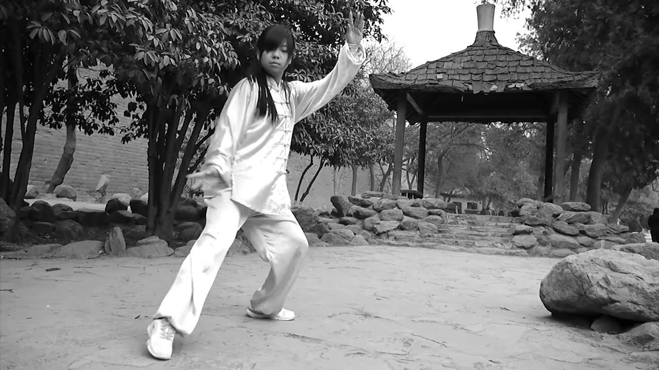 Intitut Franco-Chinoise de Taiji Quan Chen à Argeles sur mer France
