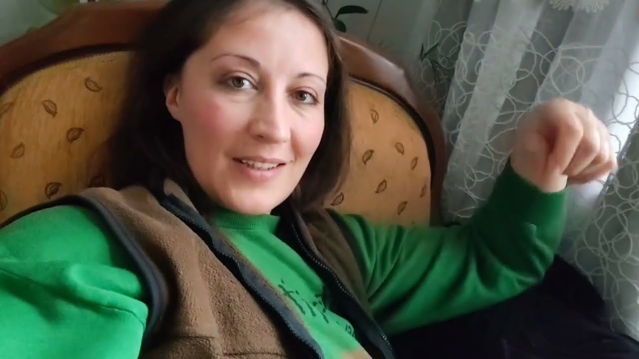 Სიზარმაცე. Დენზე მაინც იტენებიდნენ