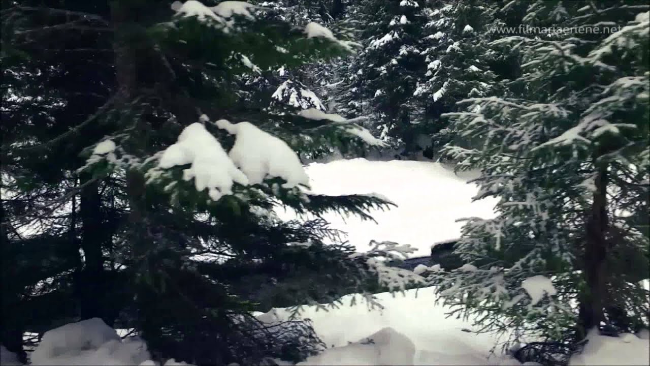 Parcul Natural Bucegi