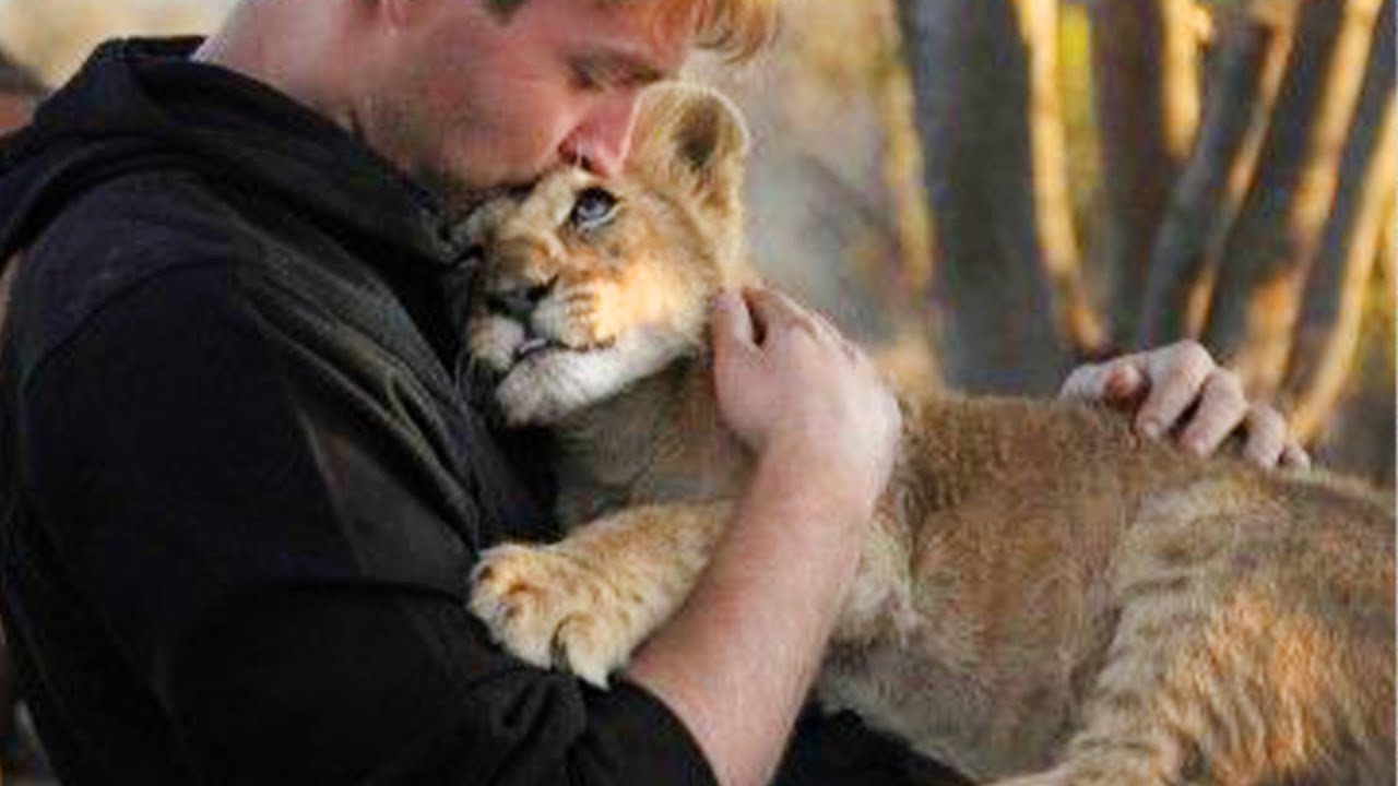 These Animals Who Found Their Own Way to Say “I Love You Human”