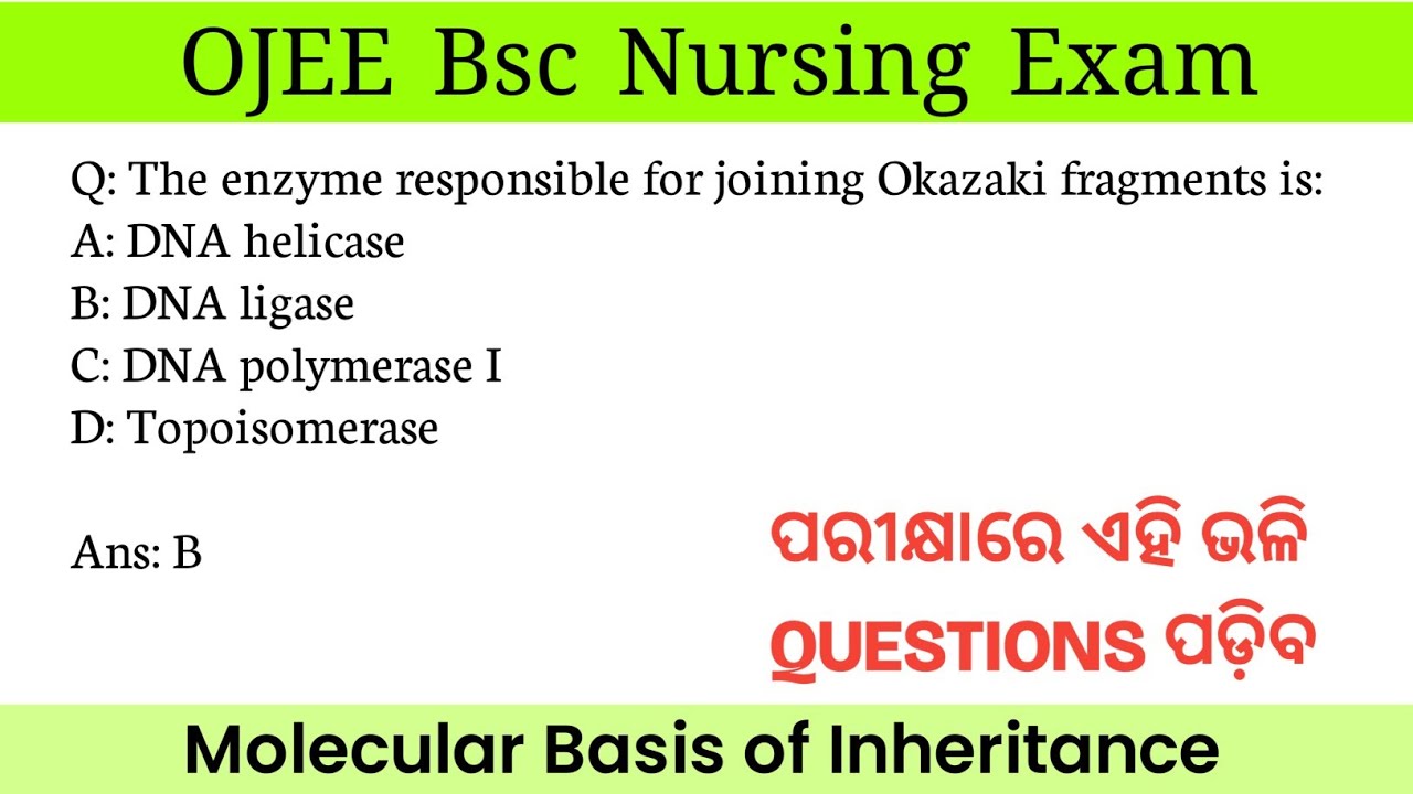 OJEE BSc Nursing - Molecular Basis of Inheritance MCQs You MUST Know! 🔥