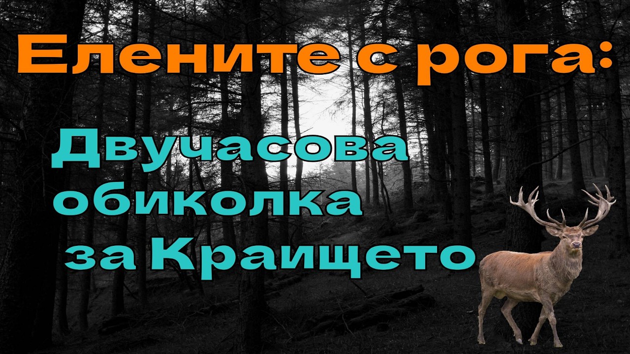 Елените с рога: Двучасова обиколка за Краището