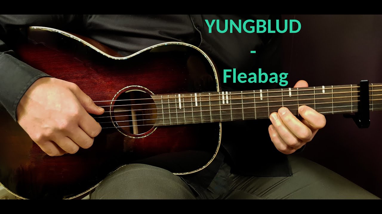 How to play YUNGBLUD - FLEABAG Acoustic Guitar Lesson - Tutorial