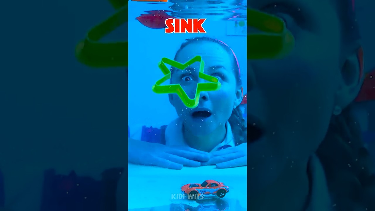 SINK or FLOAT: The Ultimate Water Challenge! 💦 😮 