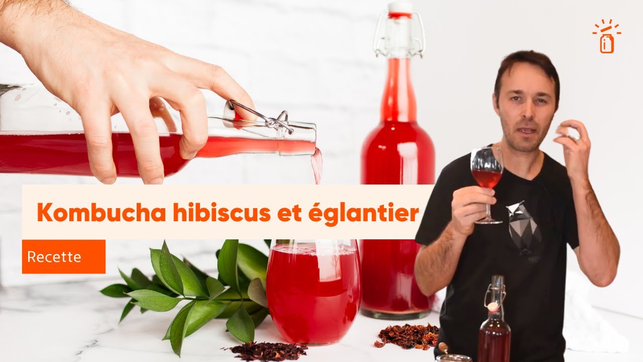Recette de kombucha hibiscus et baie d'églantier
