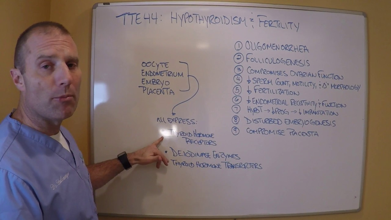 TTE 44   Hypothyroidism and Reproduction