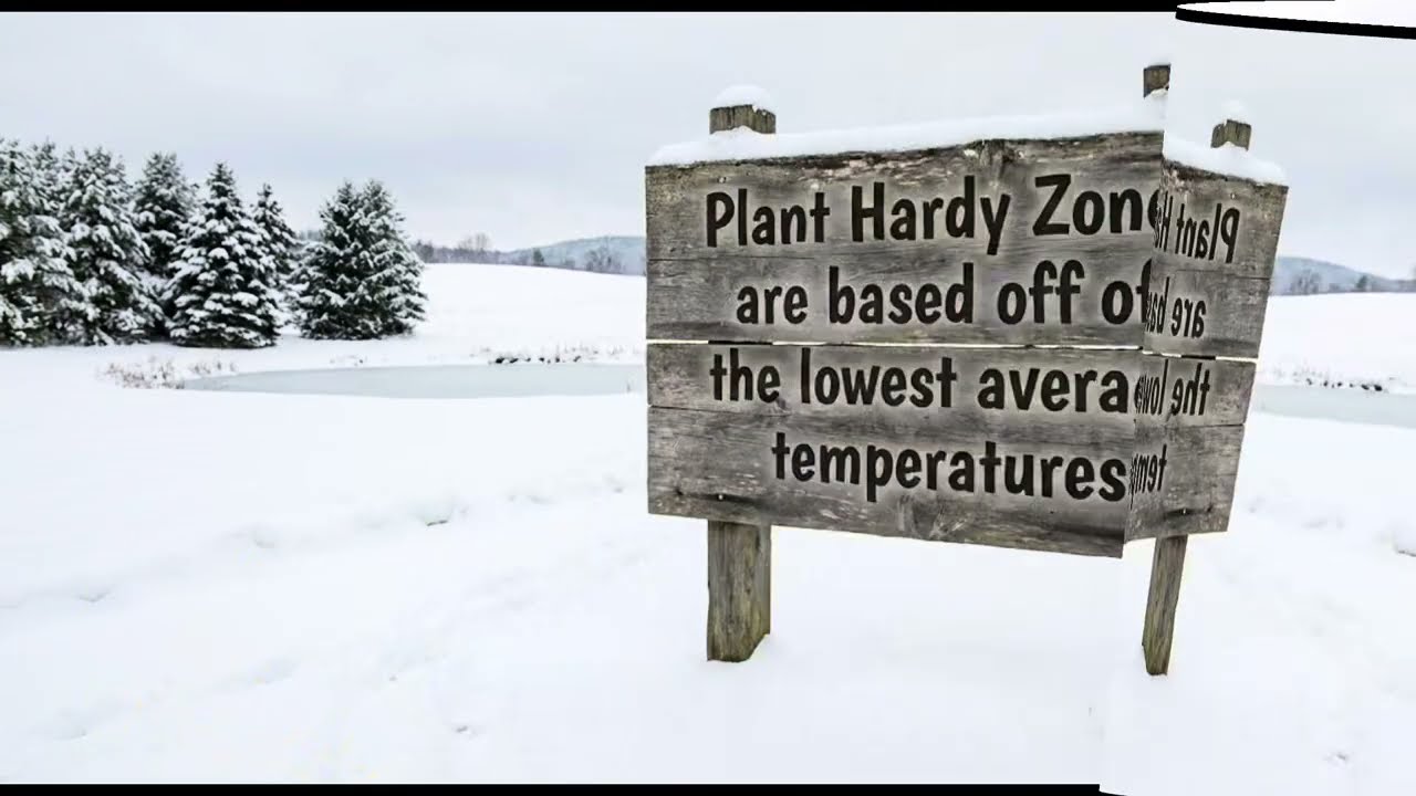 Plant Hardiness Zones Explained: How to Never Kill a Plant Again 🌿#gardening #plants #perennial 