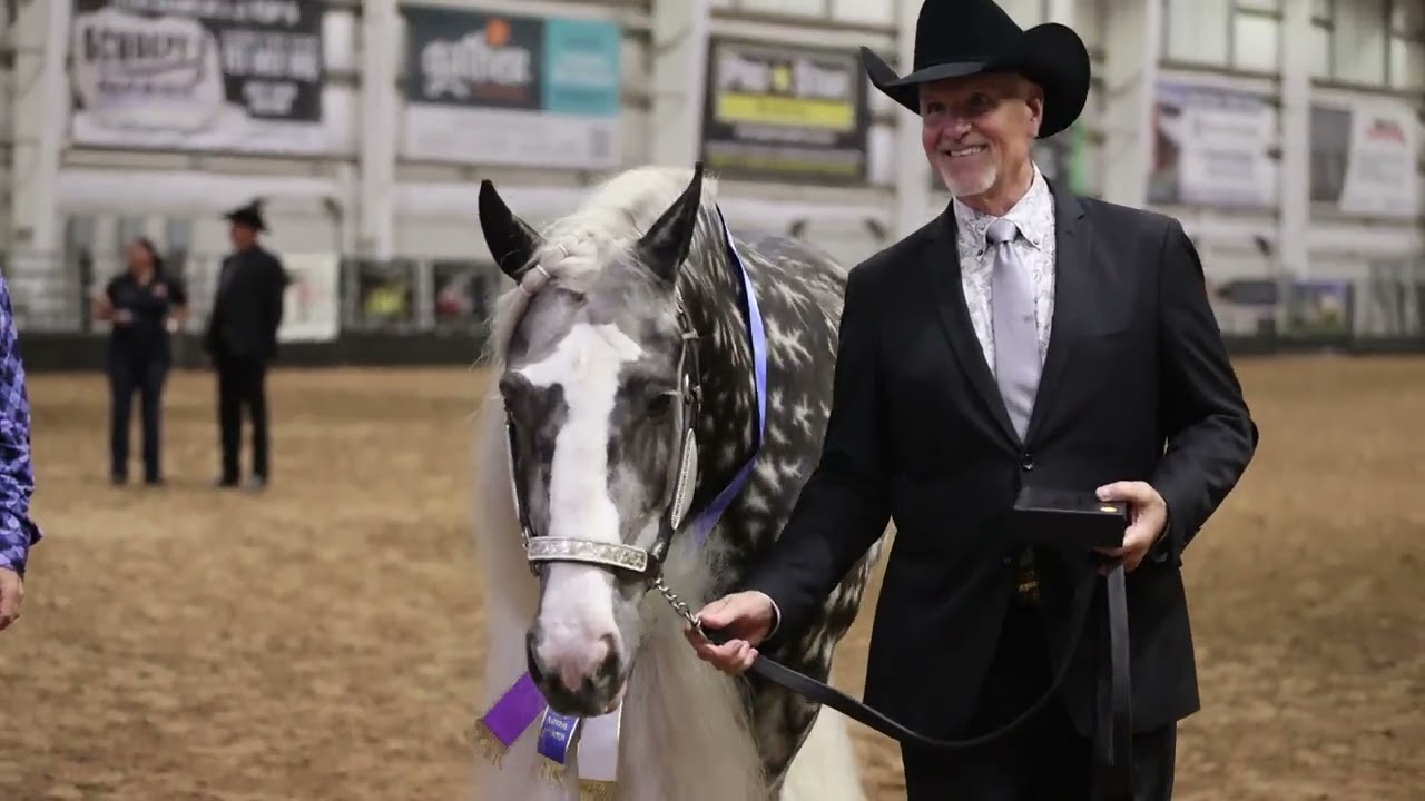 2024 Gypsy Vanner Nationals - Triple R Ranch’s Lady Izabella - Braidmor Farm