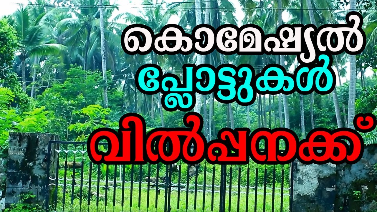 1.5 Acre Commercial Land for Sale @painkulam #Thrissur #kerala