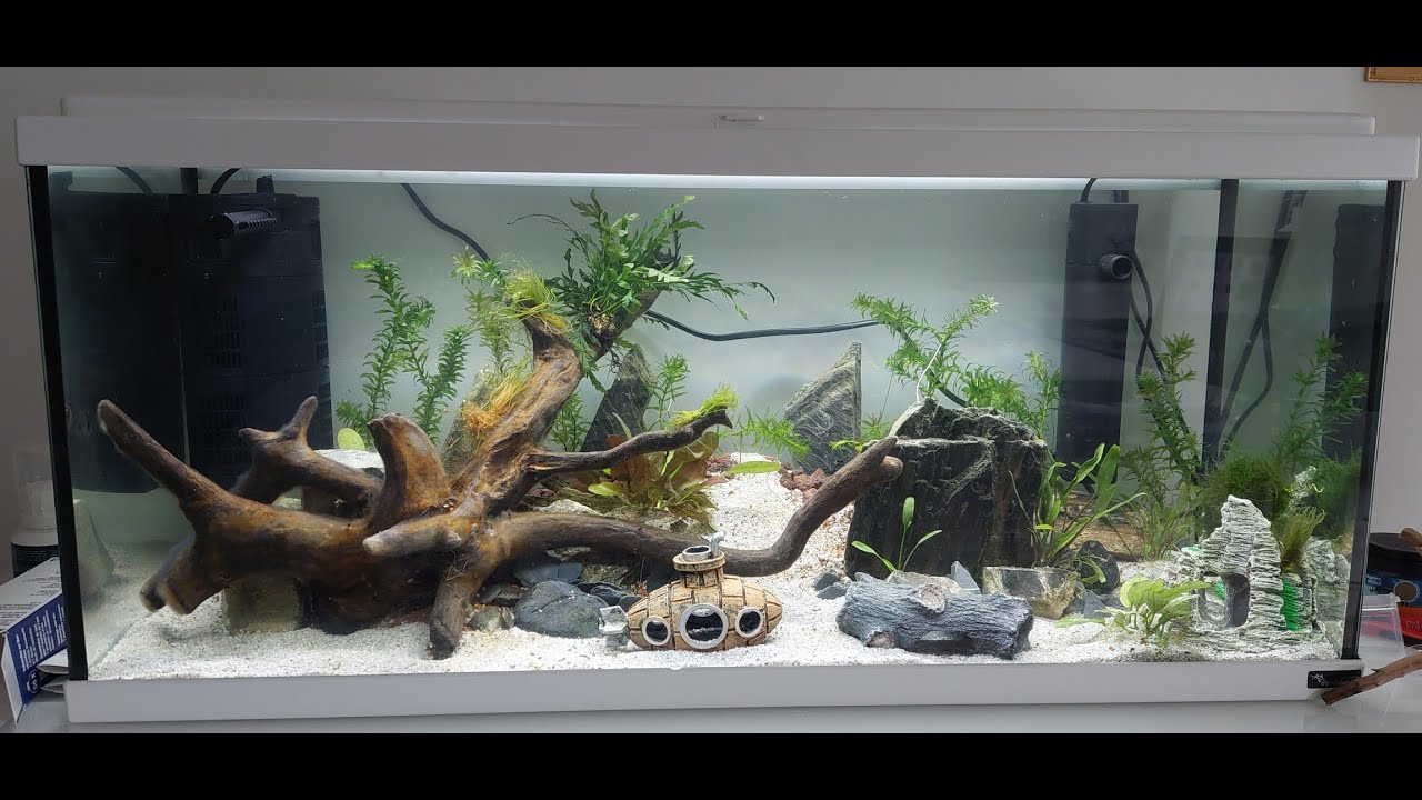 Aquarium Aquatlantis 80L demarrage