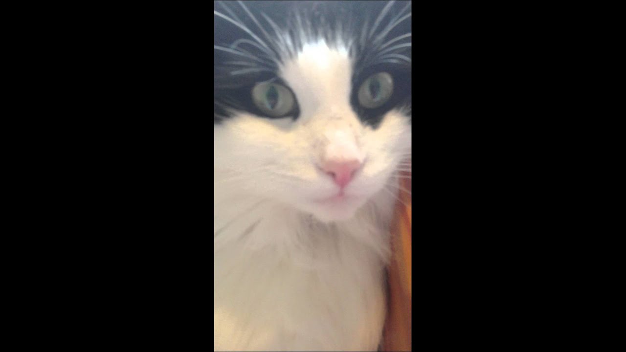 Look into my eyes.