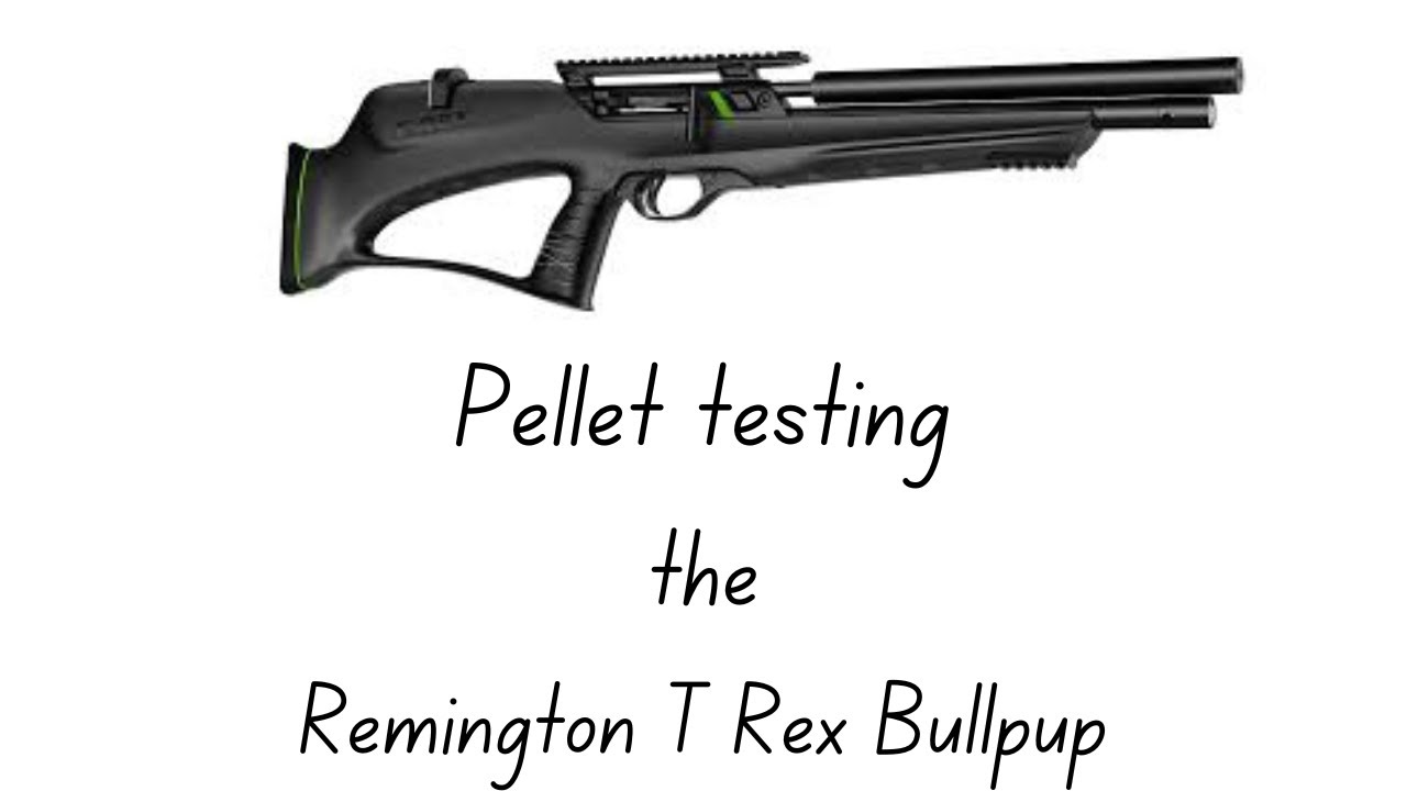 Pellet Testing the Remington T Rex Bull pup