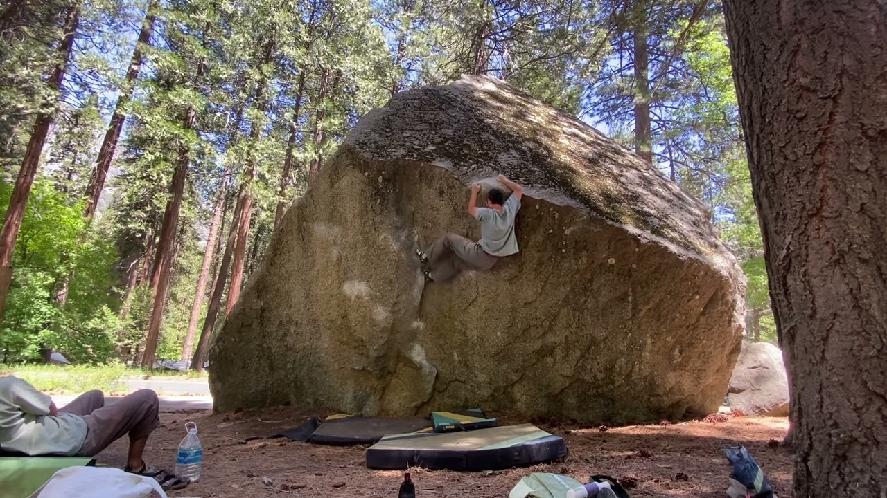 Purple Barrel V8