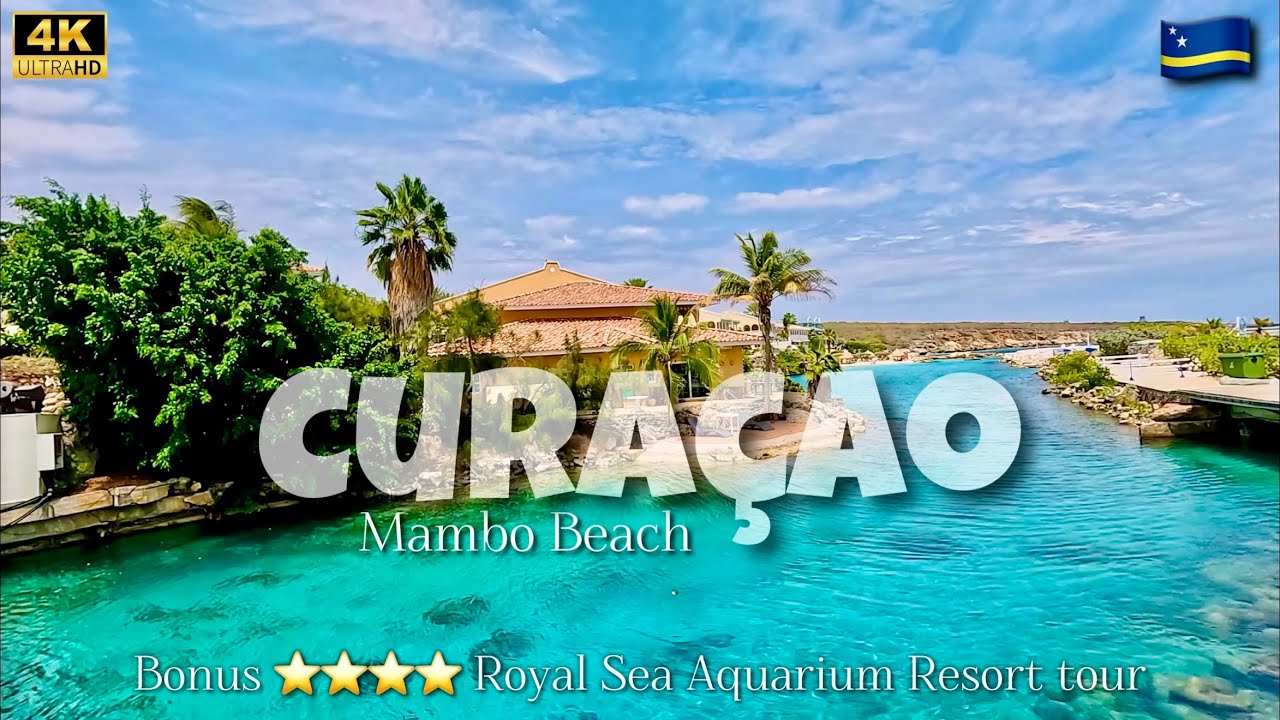 CURAÇAO | Mambo Beach & The Royal Sea Aquarium 4⭐ Resort | 4K Walking Tour