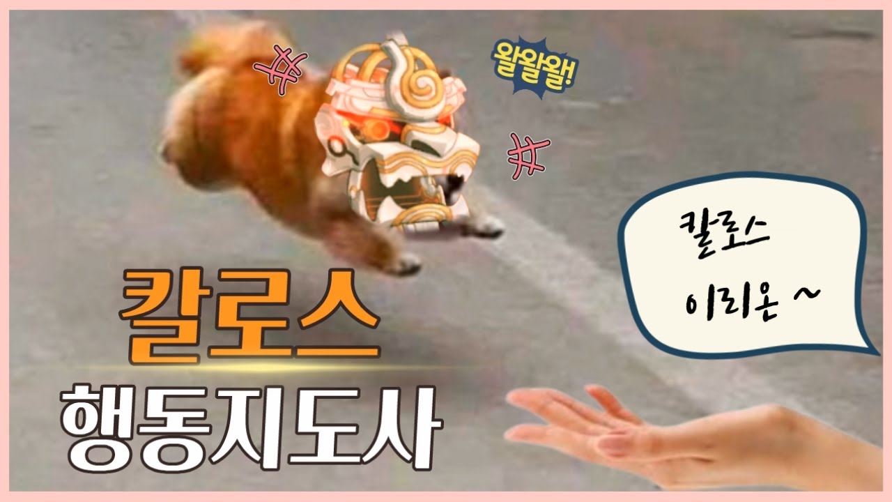 칼로스 옆집 강아지 뽀삐 만들어버리는 법 [칼로스 공략 , 노룩샷]