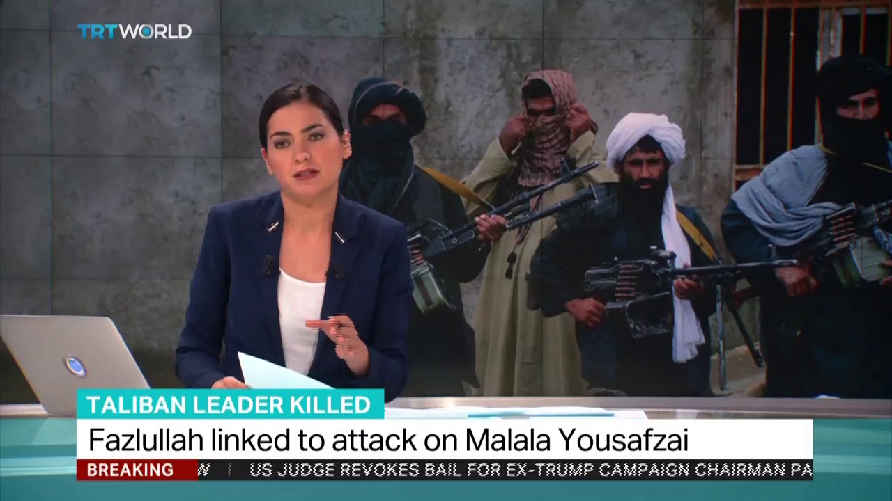 Fazlullah Killed: Muhammad Amir Rana talks to TRT World