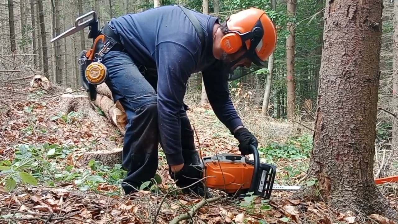 Práce v lese stihl ms 271 work in forest  stihl ms 271 🌲