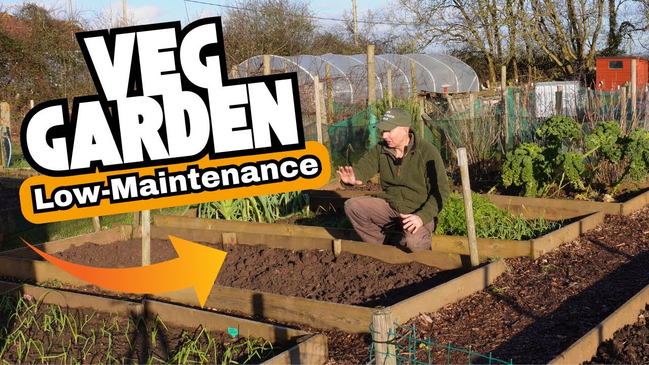 Planning a Low Maintenance Vegetable Garden?