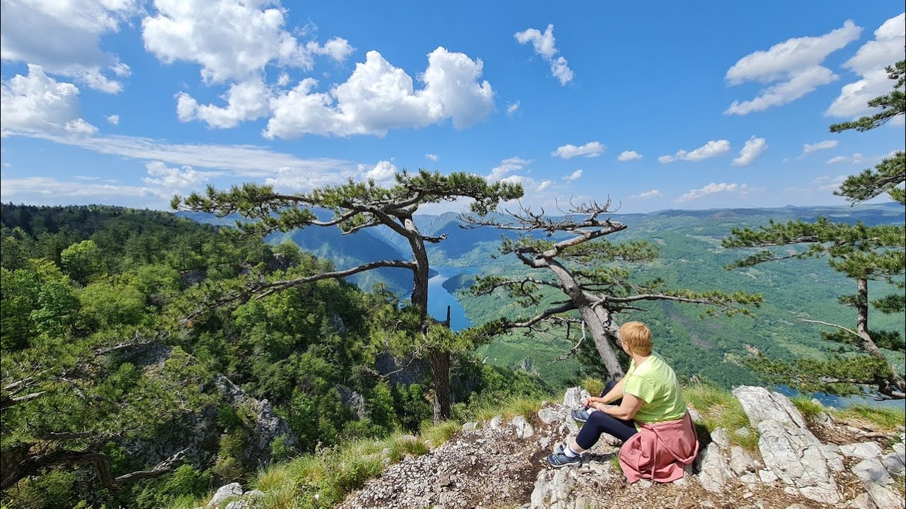 Vidikovac 